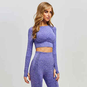 Vente en gros Tenue de yoga sans coutures pour femmes avec soutien-gorge et legging d'entraînement respirant et confortable Vêtements de sport de haute qualité - Product Image 5