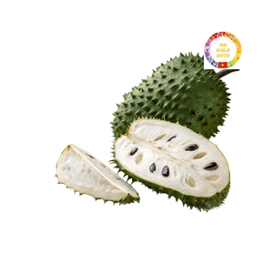 Pulpa IQF de fruta de Guanábana congelada tropical de suministro a granel de Vietnam para exportación y pedidos OEM - Product Image 1