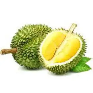 Durian beku segar alami harga murah untuk ekspor dengan Gratis cetak Logo