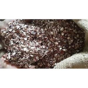 Cosses de noix de cajou du Vietnam de haute qualité à bas prix - Product Image 5