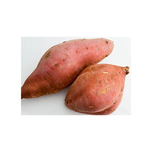 High grade sweet <b>potatoes</b> prepared for export trade with dependable stock - Product Image 6
