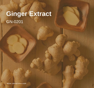 Huile d'aromathérapie liquide à l'extrait de gingembre (GN-0201) Van Aroma - Product Image 1