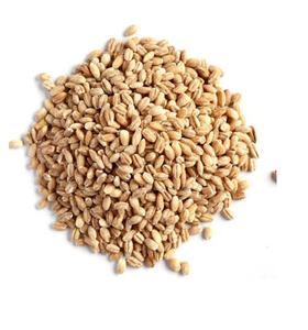 Cebada sin cáscara seca orgánica de alta calidad a la venta - Product Image 1