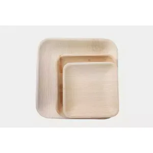Ensemble de couverts jetables de haute qualité Palm Areca plateau de service gravé carré prix en vrac compétitif fêtes qualité d'exportation inde - Product Image 3
