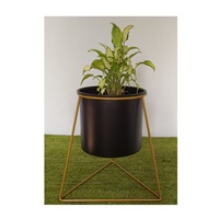 Grandes jardinières décoratives auto-arrosantes en fer chromé doré, durables et écologiques, pour la maison et le jardin