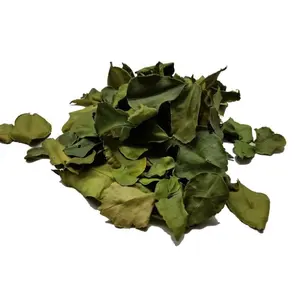 Lime ingredientes secos de folhas para lanches secos do vietnã usado como tempero em pratos preparados com frango seco feriados