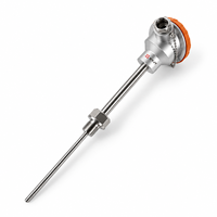 Sensor Suhu Industri Kustom SYJT dengan Probe 200 mm untuk Aplikasi IP67