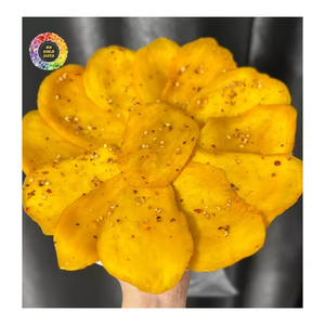 Tranches de mangue déshydratées (sel et piment), mangue séchée moelleuse avec sel pimenté, fabriquée à partir de mangues fraîches, douce et épicée, vietnamienne - Product Image 6