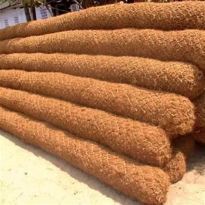 NOIX DE COCO BIOLOGIQUE BÛCHES EN VRAC EXPORTATION - Product Image 2