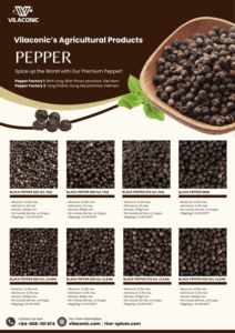 Pimienta Negra Entera Seca, Grado Alimenticio, Proveedor Mayorista a Granel |   Origen: Vietnam - Product Image 6