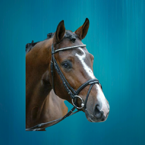 Bride de cheval chaîne diamante fantaisie Fabricant bride de cheval chaîne diamante Vente en gros Bride de cheval chaîne diamante de haute qualité - Product Image 2
