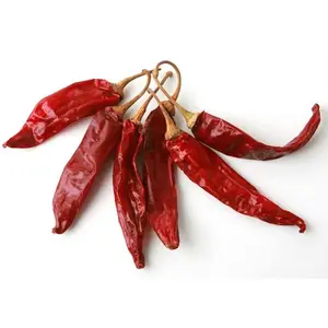 Bulk supplier of dried chili in Vietnam / holiday