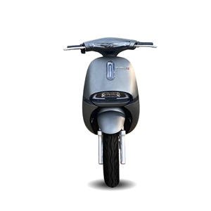 Motocicleta Eléctrica Gopath SI de Alto Rendimiento, 60V, Velocidad Máxima <44.5 km/h, para Adultos, Lista para Exportación - Product Image 2