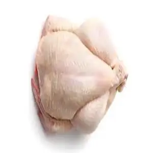 Pollo de cuerpo entero Halal Precios/Pies de pollo listos