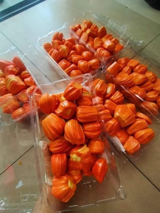 Iqf ขนุนหั่นผลไม้แช่แข็งจากเวียดนามสามารถกำหนดโลโก้และบรรจุภัณฑ์ได้เอง - Product Image 4