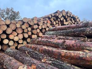 Leña de Madera Dura Seca para Sistemas de Calefacción, Marca DEMAND, Suministro al por Mayor para Exportación - Product Image 6