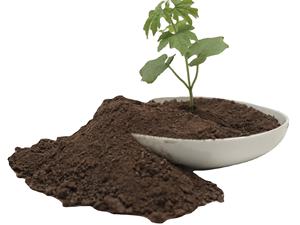 Offre Spéciale : Engrais Organique de Qualité Supérieure – Poudre de Guano pour la Croissance des Plantes en Pot à Bon Prix - Product Image 4