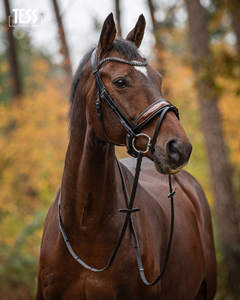 Brida snaffle - Product Image 3