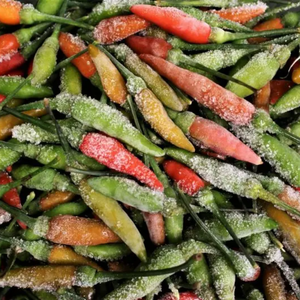 IQF CONGELADO CHILI LARGA VIDA ÚTIL INGREDIENTE ALIMENTICIO - Product Image 1