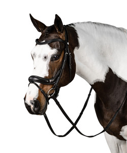 Bride à mors en cuir tressé durable, laisse de course moyenne et grande pour l'entraînement des animaux de compagnie. - Product Image 2
