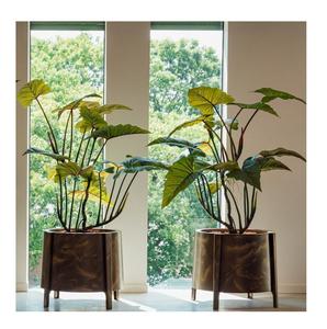 Pots de jardinière tendance de l'industrie Design classique Métal Aluminium Taille personnalisée Forme Couleur Utilisations dans la décoration intérieure et le jardinage - Product Image 1