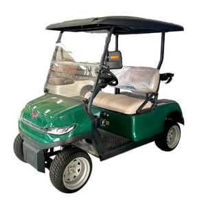 E1ectr1c 2ที่นั่ง Cert1f1ed H0t Wu11ng รถเข็น48vss 0EM Se111ng รถเข็น2ที่นั่ง - Product Image 1