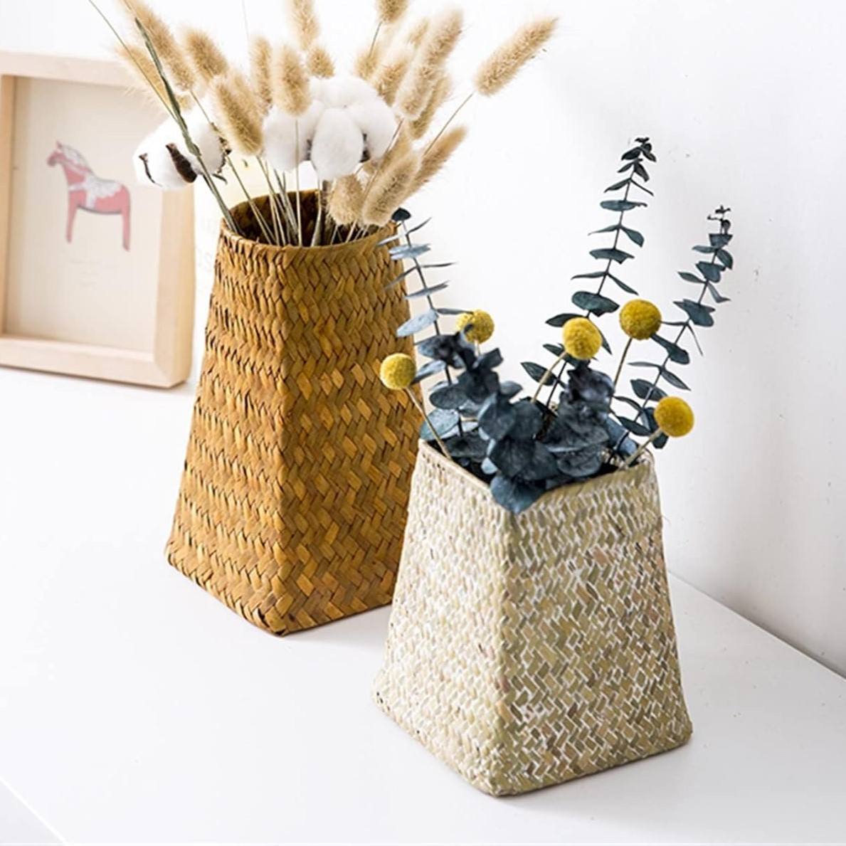 ธรรมชาติ