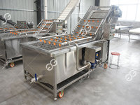 Fruit En Groente Wasmachines Of Machine Tomatenpasta Sorteer-En Wasapparatuur Kleinschalige Tomatenwasmachine