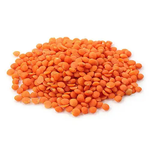 高品質の有機カナディアンレッドレンズ豆/スプリットレッドレンズ豆が利用可能