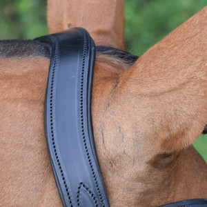 Weymouth Bridle GLITTER BRIDLE SOFTY MUCHOS COLORES OPCIONES Genuino Marrón oscuro Personalización - Product Image 6