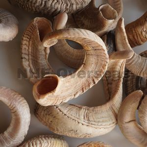 Cuerno de carnero natural para masticar perros, Tratamiento duro de larga duración para masticadores agresivos, cuerno orgánico fuerte, soporte saludable de NHE Overseas - Product Image 5