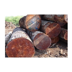 Bûches de bois d'acajou de haute qualité pour la fabrication et la construction de meubles - Product Image 1