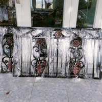 Solution Complète Moderne de Luxe pour Balustrade de Balcon Extérieur en Fer Forgé et Acier, Marque Vietnam TTD, Garantie 1 An