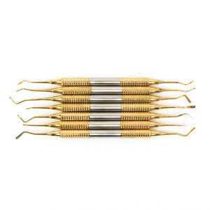 <b>Dental</b> Probe <b>Surgical</b> <b>Instruments</b> Set Customized Logo Manual High Quality Stainless Steel Lightweight CE Certified <b>Dental</b> - Product Image 2