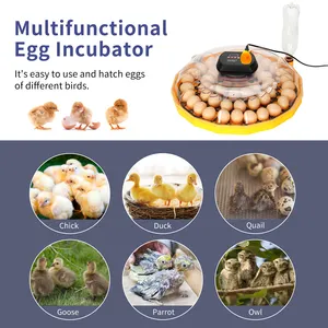 Popular Incubators Egg Hatching Machine 48 Eggs Chicken Incubator Automatic Humidity Control