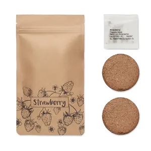 Kit de culture de fraises écologiques, coffret cadeau pour les amoureux de la nature - Product Image 4