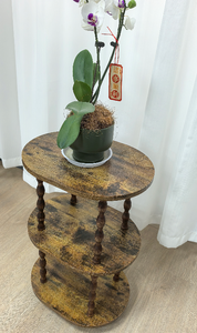 Étagère de rangement ovale en bois à 3 niveaux, table d'appoint de style rustique pour salon, support pour pot de fleurs - Product Image 2