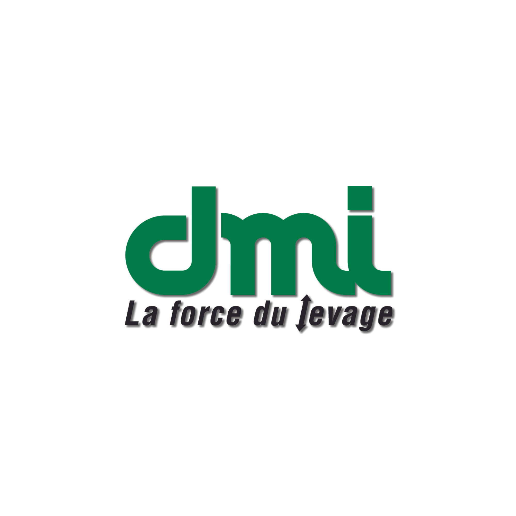 DIFFUSION MATERIEL INDUSTRIEL- DMI FRANCE logo