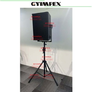 Altavoz de audio profesional de alta eficiencia, doble de 12 pulgadas, con excelente inteligibilidad del habla y musicalidad. - Product Image 2