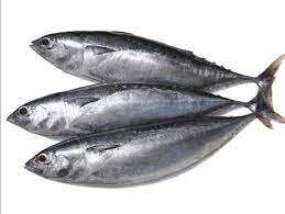 ปลาทูน่าครีบดำแบบสดเกรดพรีเมี่ยมแช่แข็งทั้งปลาในกล่องบรรจุภัณฑ์เก็บรักษาด้วยน้ำ - Product Image 6