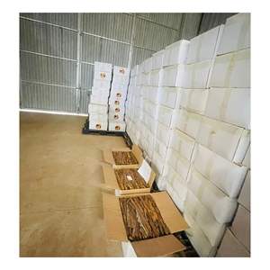 สุดยอดทั้ง Canela/cannella/Split Cassia-ราคาไม่แพง, พร้อมสำหรับการส่งออก (WA + 84362512699) - Product Image 1