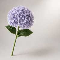 Kepala Bunga Hydrangea Tiruan yang Menyerupai Asli dengan Kelopak Sutra Tahan Lama untuk Buket Pernikahan dan Hiasan Meja