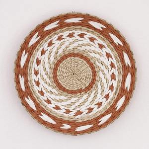 Decoración de pared de restaurante de buena calidad, arte colgante de jacinto de agua natural, centro de mesa para exhibir en la pared - Product Image 1