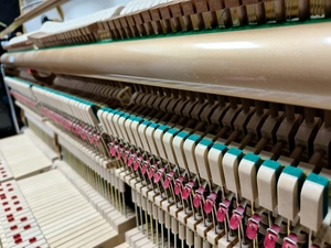 เปียโนตั้งพื้น KAWAI US6X คุณภาพสูง มือสองจากญี่ปุ่น ขายพร้อมระบบเสียงระดับมืออาชีพ คีย์ไม้แท้ - Product Image 3