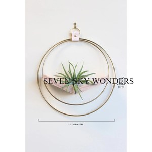 Maceta colgante de hierro y Metal de forma redonda de alta calidad hecha de marco de alambre, accesorio de maceta de decoración de balcón con revestimiento de polvo de Color negro - Product Image 4