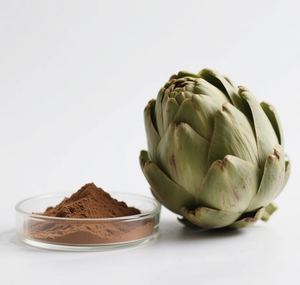 Food GradeCynarin Alcachofra extrato 5% Form Drum Embalagem Disponível para Venda - Product Image 4