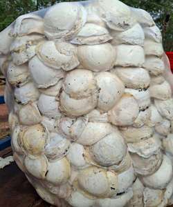 Copas de Látex de Caucho Natural con Diseño de Patrón Líquido - Grado General - Product Image 1