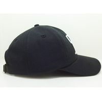 Gorras de Béisbol Deportivas de Felpa con Texto Bordado, Marca VN, Gorra Casual para Hombre y Mujer, Promoción de Marca, L1