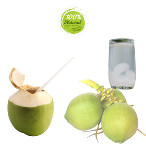 Noix de coco vietnamienne fraîche délicieusement pure hydratation-l'agriculture à son meilleur - Product Image 3