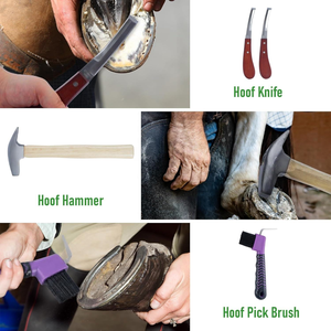 Kit Profesional Ariston de 8 Piezas para Herrador, Porta Agujas y Pinzas de Acero Inoxidable, Cortaúñas para Cascos de Caballos, Vendaje Autoadhesivo para Caballos - Product Image 6